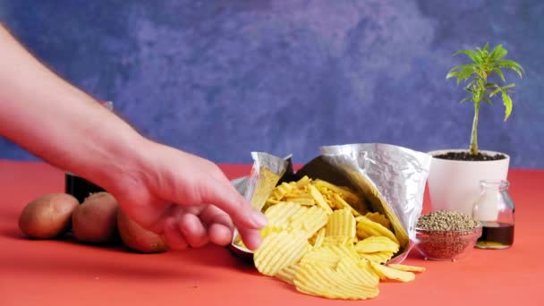 Mão Pegando Uma Batata Frita Saco Aberto Com Batatas Descascadas — Vídeo de Stock