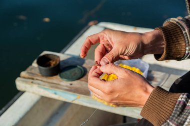 Balık oltasına yem olarak solucan yerleştiren elleri kapatın. Adam oltayla oltayı tutuyor. O, nehirde yüzerken teknede çalışıyor. Bir kase mısır arka planda..