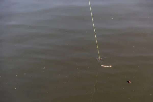 Grande Tiro Isca Pesca Linha Verde Visível Sob Água Constante — Fotografia de Stock