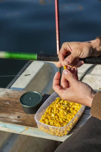 Закрыть Руки Устанавливая Кукурузу Качестве Приманки Рыболовный Крючок Человек Держит — стоковое фото