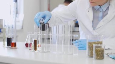 Laboratuvarda kenevir CBD ve CBDA yağı ile çalışan kimya bilimcilerini kapatın. Erlenmeyer matarası kullanıyor. Esrar eczacılık sağlık hizmeti kavramı.