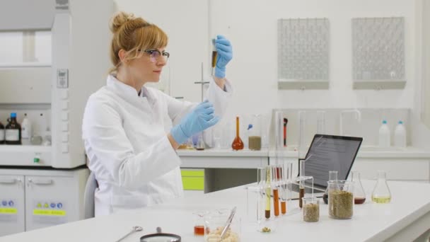 在实验室密切观察从事大麻Cbd和Cbda石油工作的化学科学家 她用的是橡皮瓶 大麻药物保健概念 — 图库视频影像