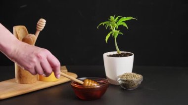 Bal biberi tutan bir el, küçük bir cam kasede CBD bal, kasede kenevir tohumu, sabun ve marihuana bitkisi şeklinde CBD ürünleri beyaz bir saksının içinde. Arkaplan siyah.