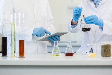 Tıbbi eldivenli eller laboratuvar masasının üzerinde beyaz tablete yazı yazıyor. Kenevir tohumu, marihuana tomurcuğu, CBD ve CBDA yağları masada. Esrar eczacılık sağlık hizmeti kavramı.