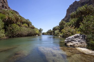 Girit adasındaki Preveli sahilinde, palmiye ağaçlarıyla çevrili Faraggi Nehri 'ni öpmek..