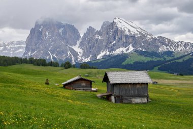 Dolomitler 'de, İtalya' da, Avrupa 'da Alpe di Siusi Seiser Alm' de dağa bakan çok sayıda ahşap evi olan güzel çayır.