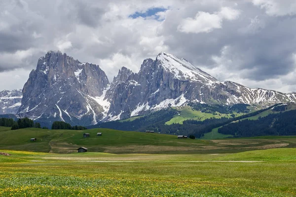 Vacker Äng Grönt Gult Och Lite Orange Toner Alpe Siusi — Stockfoto