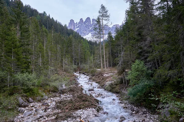 Schöne Fluss Und Waldlandschaft Funes Tal Mit Dem Schneebedeckten Berg — Stockfoto