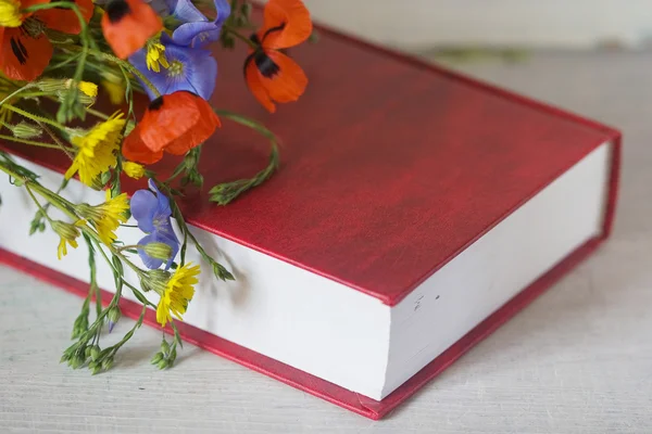 Das auffällige Cover des Buches — Stockfoto