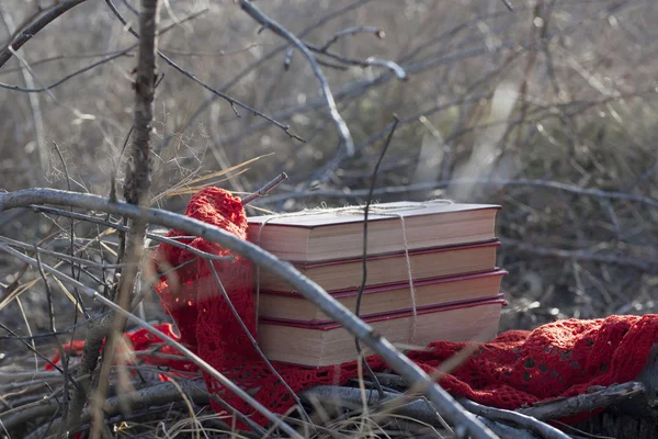 Libros sobre un chal rojo brillante al aire libre — Foto de Stock