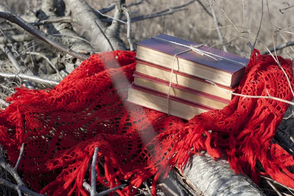 Bücher in rotem Einband mit grobem Faden gebunden — Stockfoto