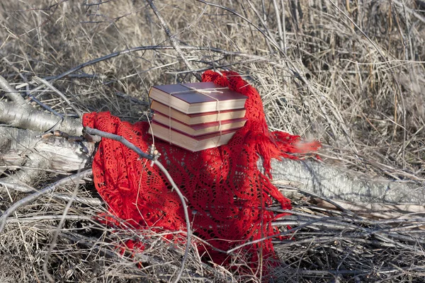 Libros atados con hilo grueso al aire libre — Foto de Stock