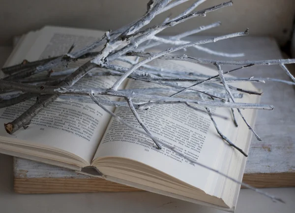 開かれた本の白い枝 — ストック写真