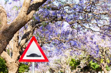 Triangular road sign warning of speed bump against purple jacara clipart