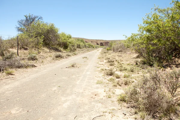 Camino de tierra en la granja en la región árida —  Fotos de Stock