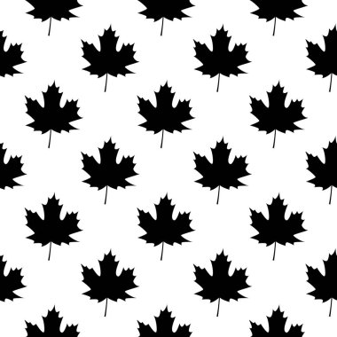 Sonbahar tatili. Sonbahar. Akçaağaç yaprakları beyaz arkaplanda. Siyah ve beyaz desen.