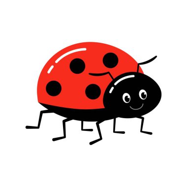 Uğur böceği ya da uğur böceği vektör grafik çizimi, izole.