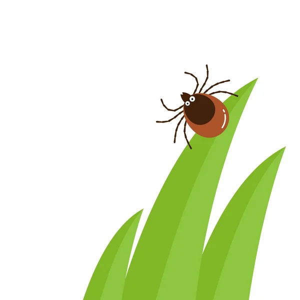 Мультфильм персонаж клещ в высокой зеленой траве плоской векторной иллюстрации, клещ, скрывающийся в траве, клещевого цвета значок, опасность тик жук в траве природы — стоковый вектор
