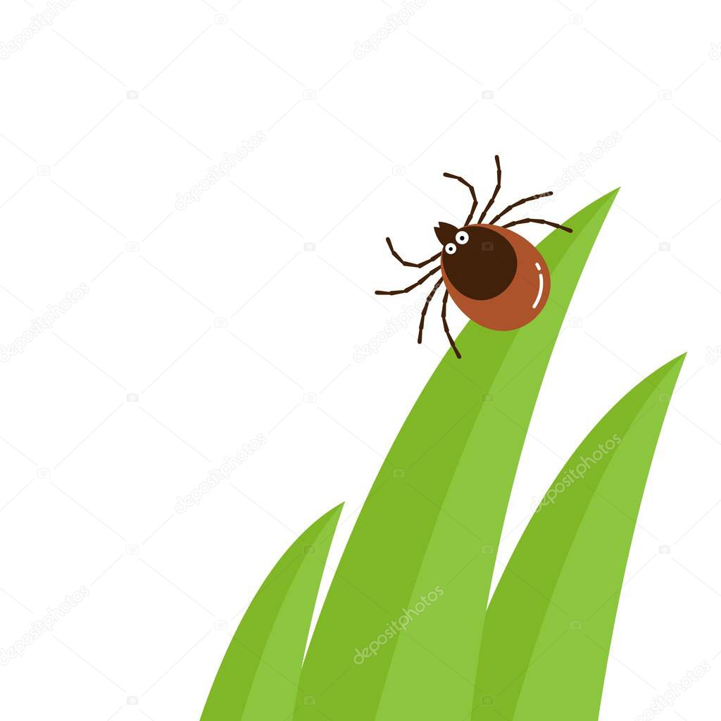 Cartoon character mite in the tall green grass flat vector illustration, mite hiding in the grass, tick-borne mite color icon, danger tick bug in nature grass