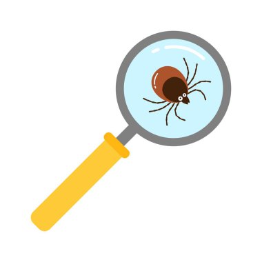 Dekorasyon için büyüteçle kaplanmış ve şeffaf arkaplanı kaplayan gerçekçi ixodes kene böceği. Çizgi film biçimi