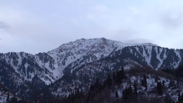Βουνά Βράδυ Χειμώνα Alatau Καζακστάν — Αρχείο Βίντεο