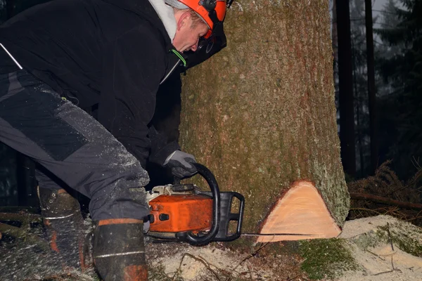 Forester z piłą łańcuchową — Zdjęcie stockowe