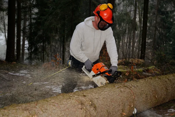 Ranger testere ile kesme