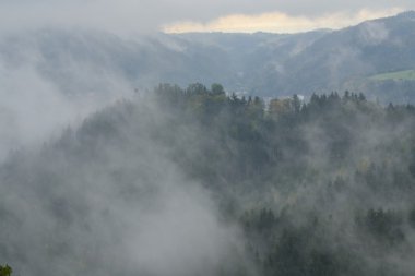 sisli sonbahar manzarası
