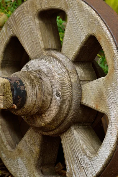 Roda de cartão de madeira - close-up — Fotografia de Stock