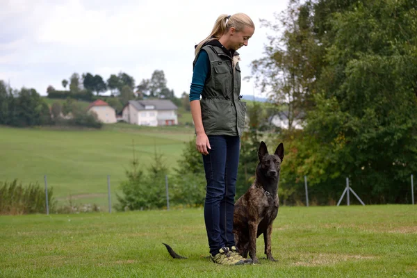 Jovem mulher se exercitando com cão — Fotografia de Stock