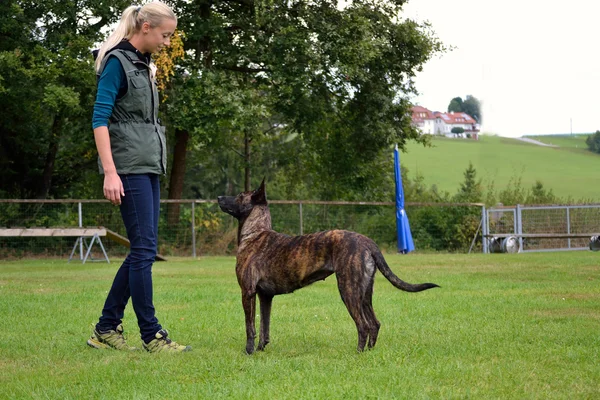 Dog trainer exercising with her dog — Stock Photo, Image