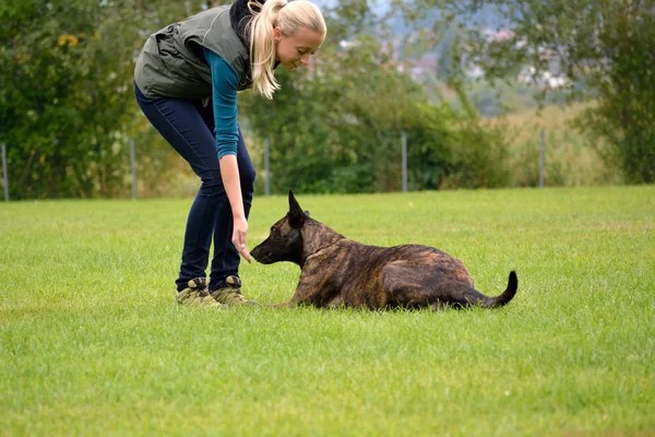 Young woman rewarded dog — Stock Photo, Image