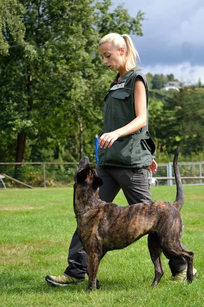 Entrenador de perros con su perro — Foto de Stock