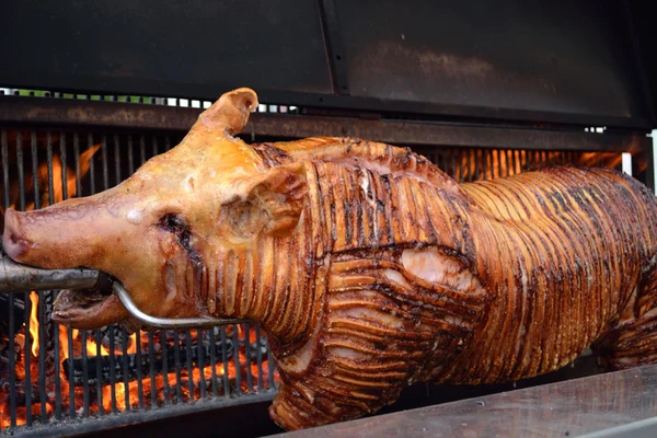 Roasted suckling pig — Stock Photo, Image