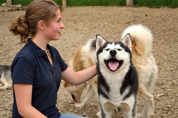 Tonåring med Huskies — Stockfoto