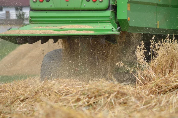 Oat dipanen — Stok Foto