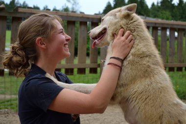 Genç sarılmış Husky