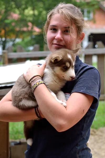 La jeunesse garde Husky bébé dans ses bras — Photo