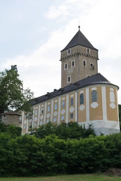 Деталь від замку Neuhaus - Австрія — стокове фото