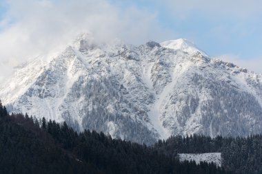 güzel dağ manzarası - Avusturya