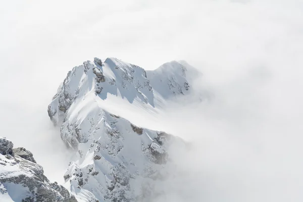 Montagna coperta si distingue dal mare di nebbia — Foto Stock