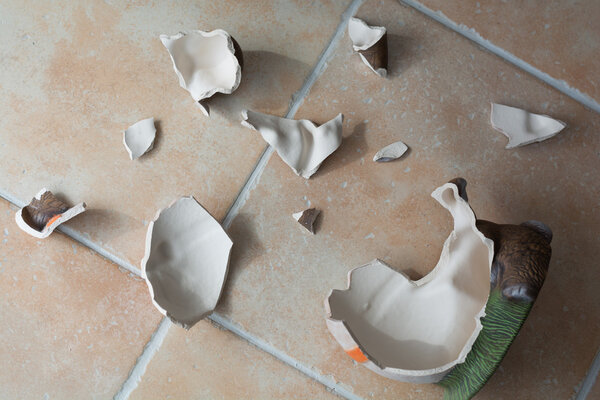 Осколки лежат на земле
