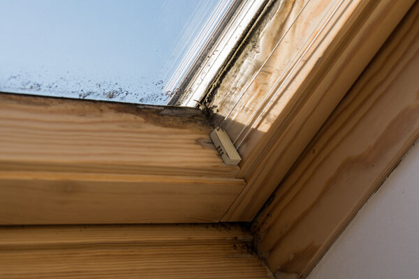 Mold on the window by poor ventilation