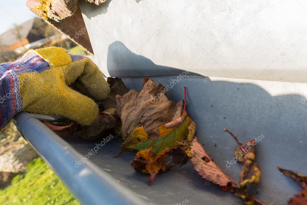 Remove leaves from gutters
