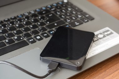 harici sabit disk ve laptop - portre