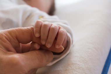 Bebek ve yetişkin el - yakın çekim