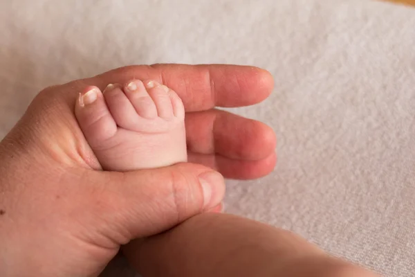 Baby voet in een volwassen hand - close-up — Stockfoto