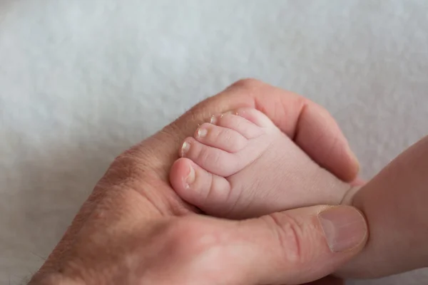 Hand volwassen en baby voet - close-up — Stockfoto