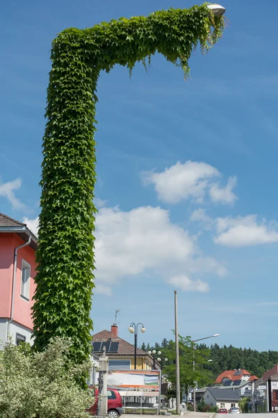 Straßenlaterne in jungfräulichen Schlingpflanzen bedeckt — Stockfoto