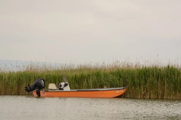 Motorboat faces reeds in the lake - Austria — Stock Photo, Image